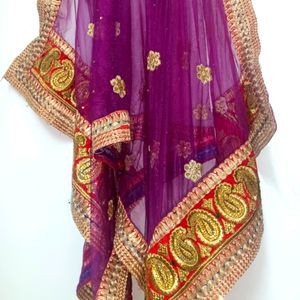 Beautiful Multi Coloured Lehenga