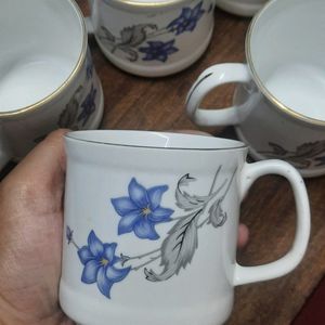 Set Of 6 Tea Cups