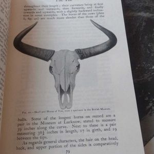 The wild animals of India,burma,Malaya and Tibet