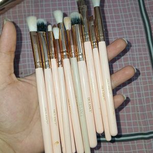 Delanci Makeup Brushes Set Of 12