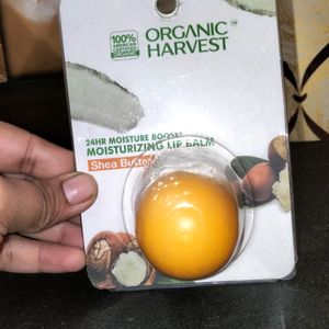 Organic Harvest 3 Product Combo