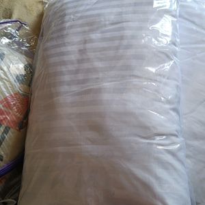 2 Pc Bombay Dyeing Pillow