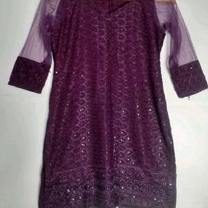 Beautiful Chikankari Sequence Kurti