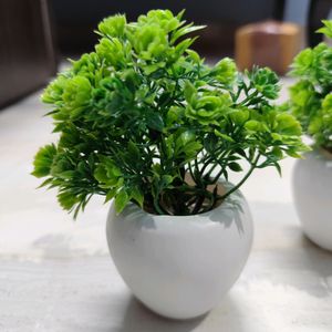 Pack Of 4 Artificial Plants