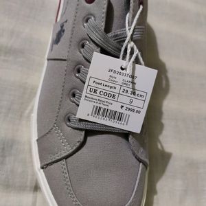 U.S. Polo Assn Men Grey Solid Sneakers