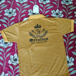 Boys Tee Mustard Yellow With Collar And V Neck