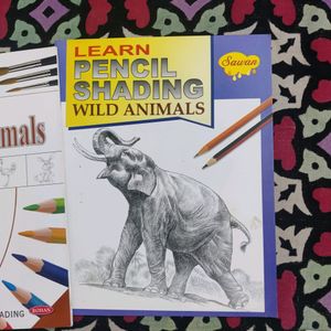 Animal Sketch Books Combo