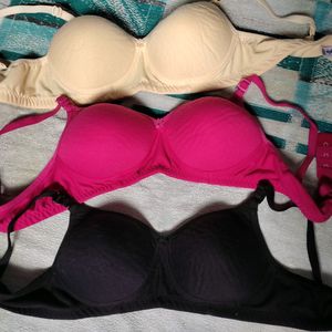 padded bras