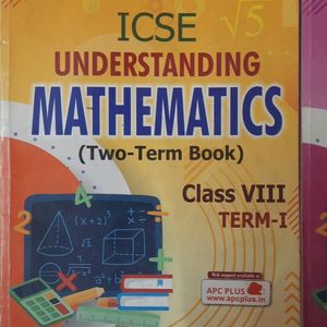 Class 8rth Icse Mathematics Book Understanding