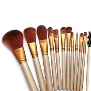 Combo Of 19 Pcs Makeup Brush