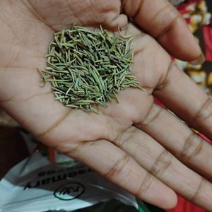 Rosemary Dried Leaves