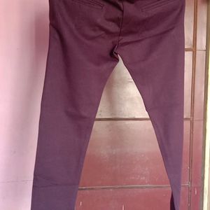 Cotton Lycra Pant