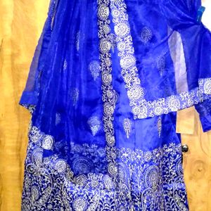 Brand New Ethnic Wear Lehenga Choli Set