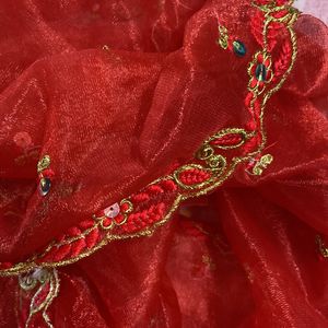 Beautiful Red Net Dupatta