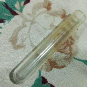 A Glass Test Tube