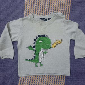 Dinosaur Full Sleeves Tshirt