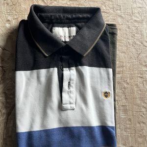 Branded Polo Tshirts for Men