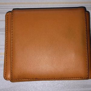 Baggit Wallet