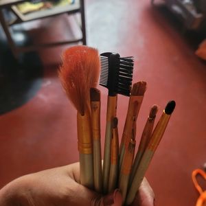 22 Makeup Brushes