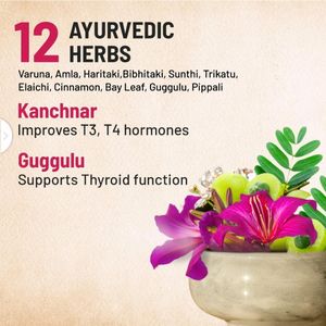 Gynoveda Kanchnar Guggulu Ayurvedic Formula