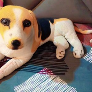 Cute Dog Soft Toy For Kids.