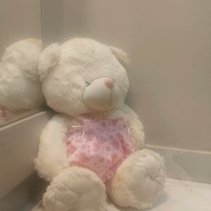 Cute Teddy Bear