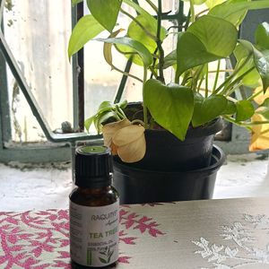 RAQUITYS Ayurved Tea Tree Essential Oil