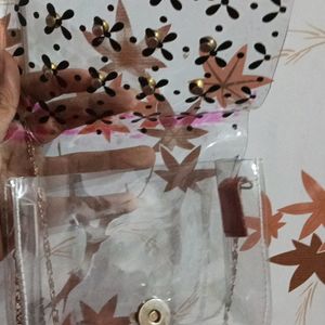 Transparent Sling Bag