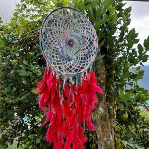 Graceful Dream Catcher 🌟