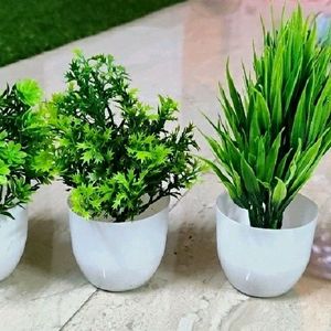 Pack Of 4 / Green Artificial Plant For Home