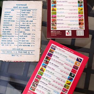 Marathi And Hindi Language Story Books