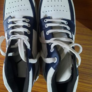 Jodan Copy Shoes