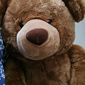 Brown Teddy Bear