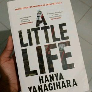 A Little Life Book