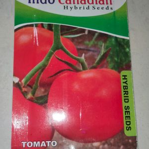 Tomato 🍅 Seeds