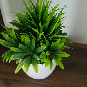 Artificial Flower Pot | Home Decor Item