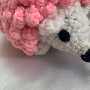 Cute Crochet Hedgehog Plushie🦔🎀