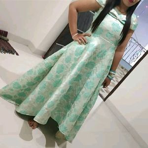 Cindrella Gown For An Adult Girls