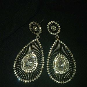 An Elegent Earring