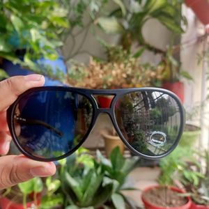 Fastrack Limited Edition Premium Sunglasses