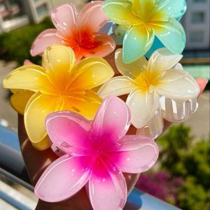 Summer Acthetics Flower Claws🌺