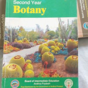 Intermediate Second Year Books