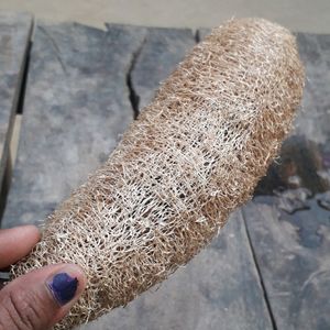 luffa (organic luff