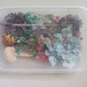 Dried Flowers With Box For Artwork