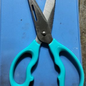 Kitchen Scissor