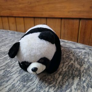 A Cute Panda