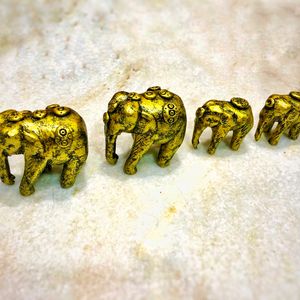 Elephants Family (Set Of 4 Together) Showpiece