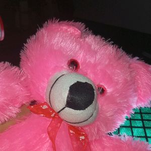 Pink Teddy New