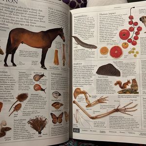 Selling Illustrated Family Encyclopedia