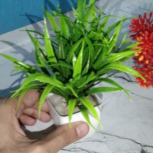 Very Low Price Pack Of 6 Artificial Flowers Plants